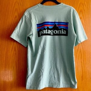 Patagonia - P-6 Logo Pocket Responsibili-Tee - Lite Distilled Green - XS
